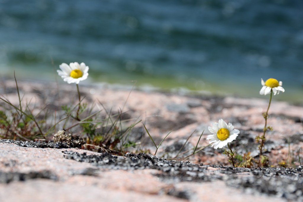 Juhannusretki Björköön