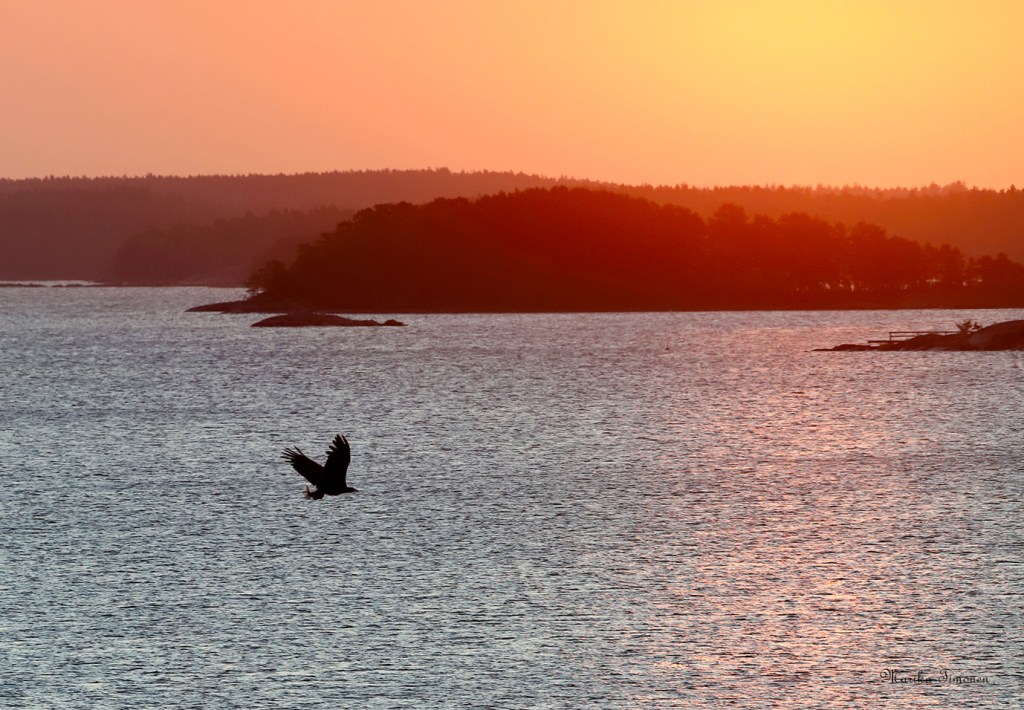 Valokuvanäyttely: Kurkistuksia mökkiläisen kuvapäiväkirjaan